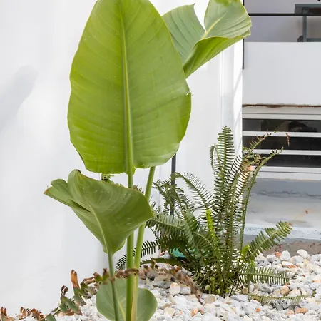 Garden Luxury * Iraklion